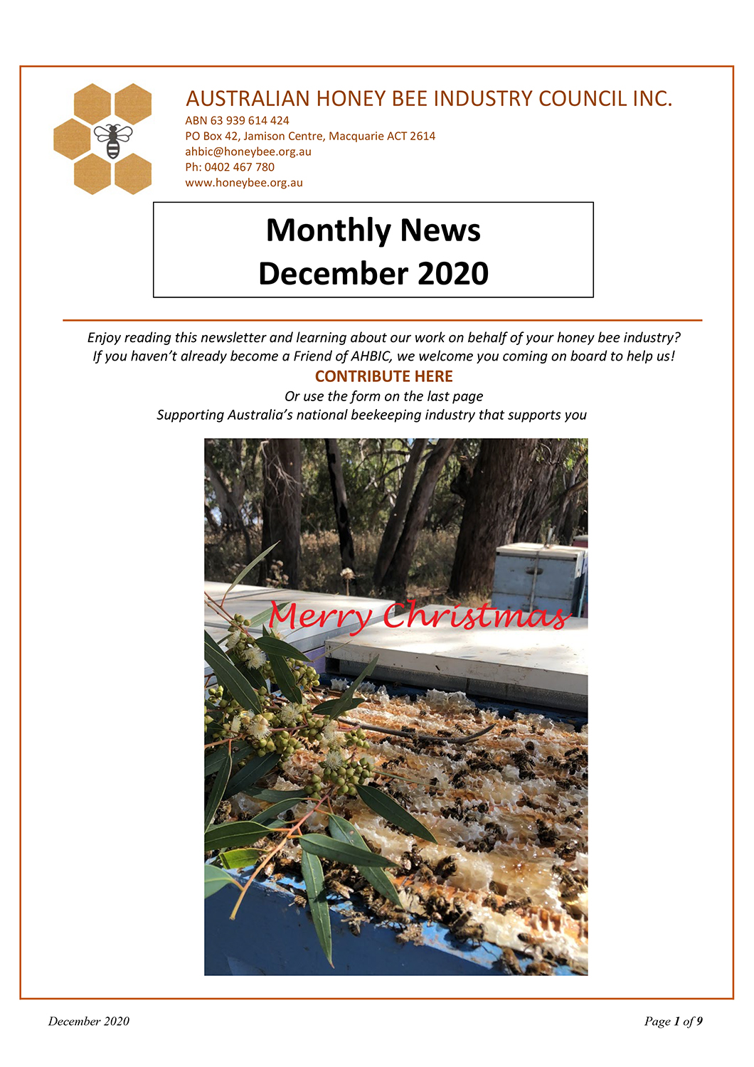 Read more about the article AHBIC Newsletter December 2020