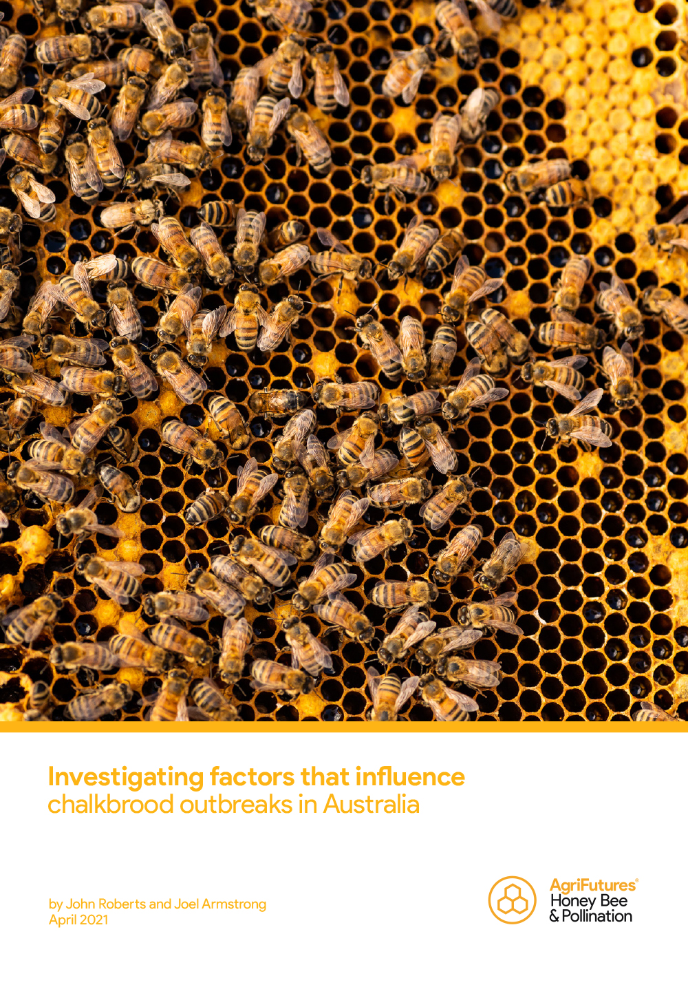 Read more about the article Agrifutures Honey Bee & Pollination Investigating factors that influence chalkbrood outbreaks in Australia